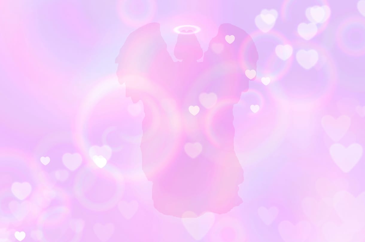 あなたの「痩せたい想い」を応援します 頑張らなくて大丈夫♡理想の自分をイメージするだけ！！ イメージ8