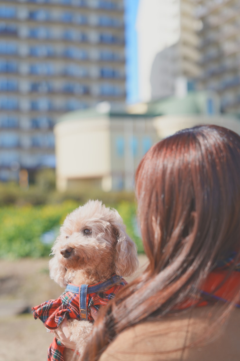 ペットとの思い出を残します ペットとあなたの思い出を写真としてそばに置きませんか？ イメージ4