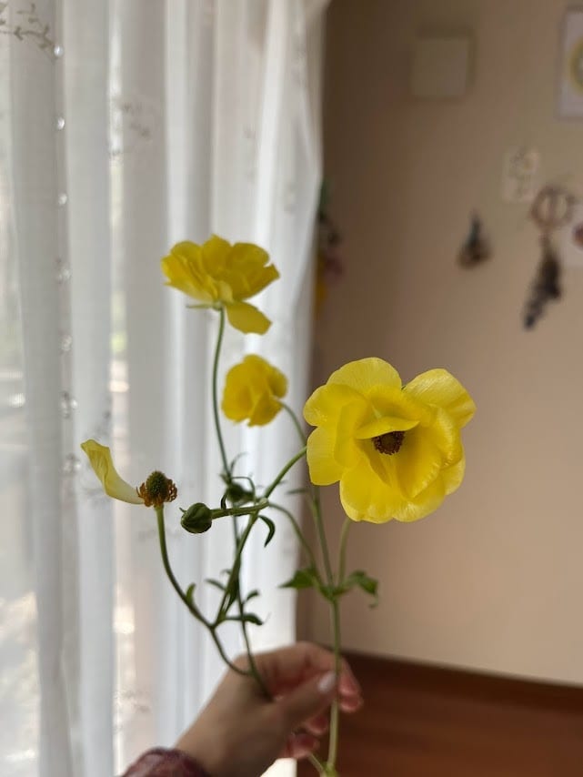 お花からのメッセージをお伝えします 気になったお花のお写真から、お花のメッセージをお伝えします イメージ7