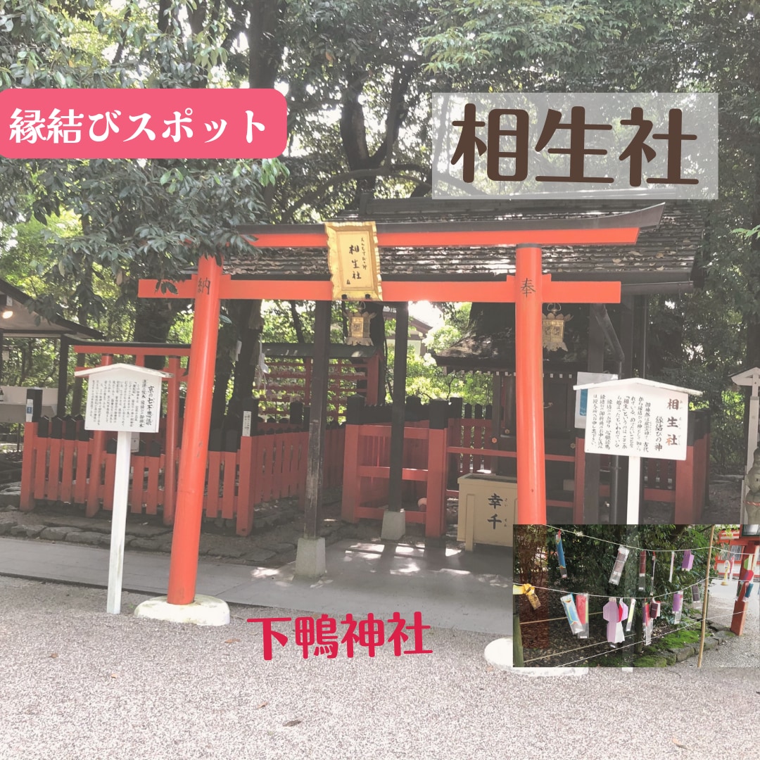 恋活、交際の悩み、恋愛と家族、恋愛相談を聞きます 主婦カウンセラーが恋愛相談何でも聞きます！時間調整可能！ イメージ2