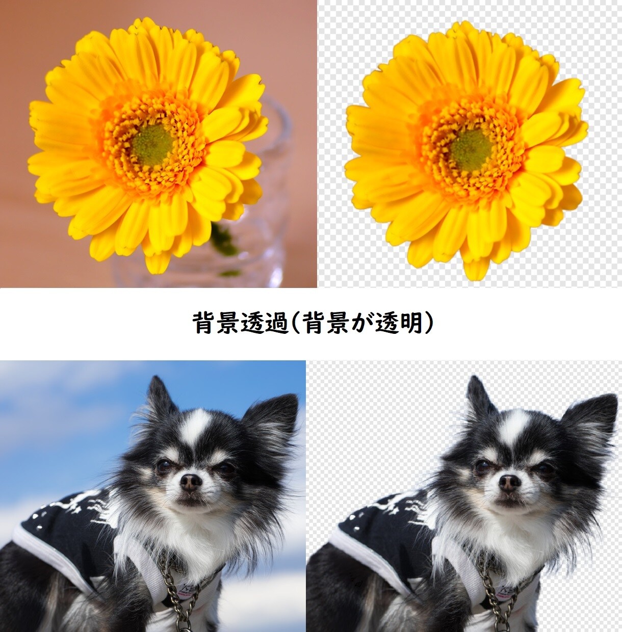 画像の白抜き・背景透過・ロゴ貼りなど加工いたします ECサイトの画像編集/合成/色変え/ショップのロゴ貼り イメージ4