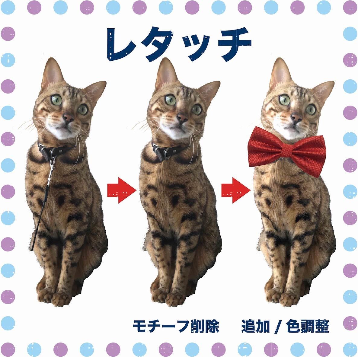 画像の切り抜き・レタッチ・アレンジ致します ECサイト登録画像などご相談ください イメージ3