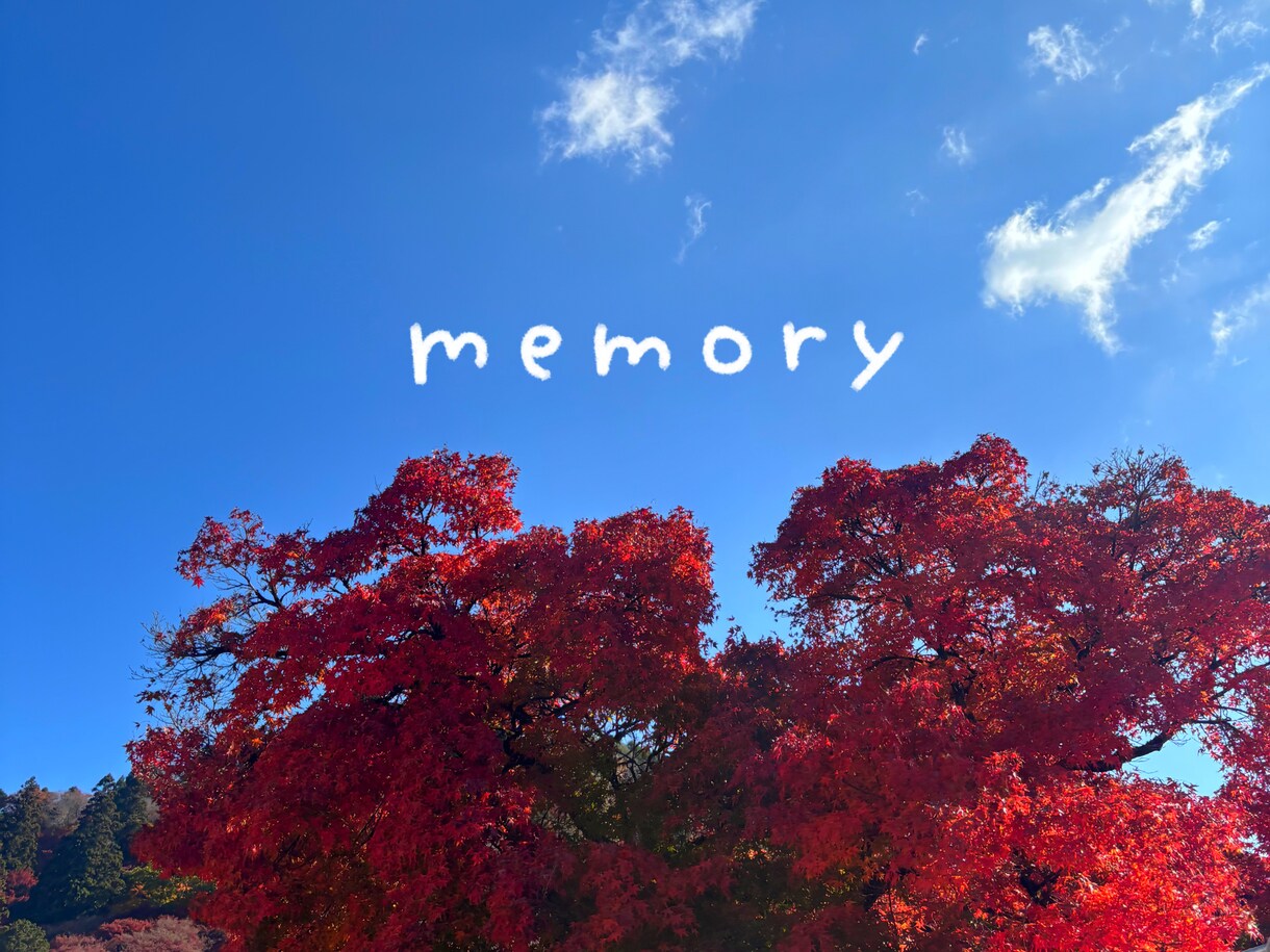 写真にふんわり手書き文字を添えます SNS・動画サムネに使いやすい、やさしい雰囲気の文字入れ イメージ5