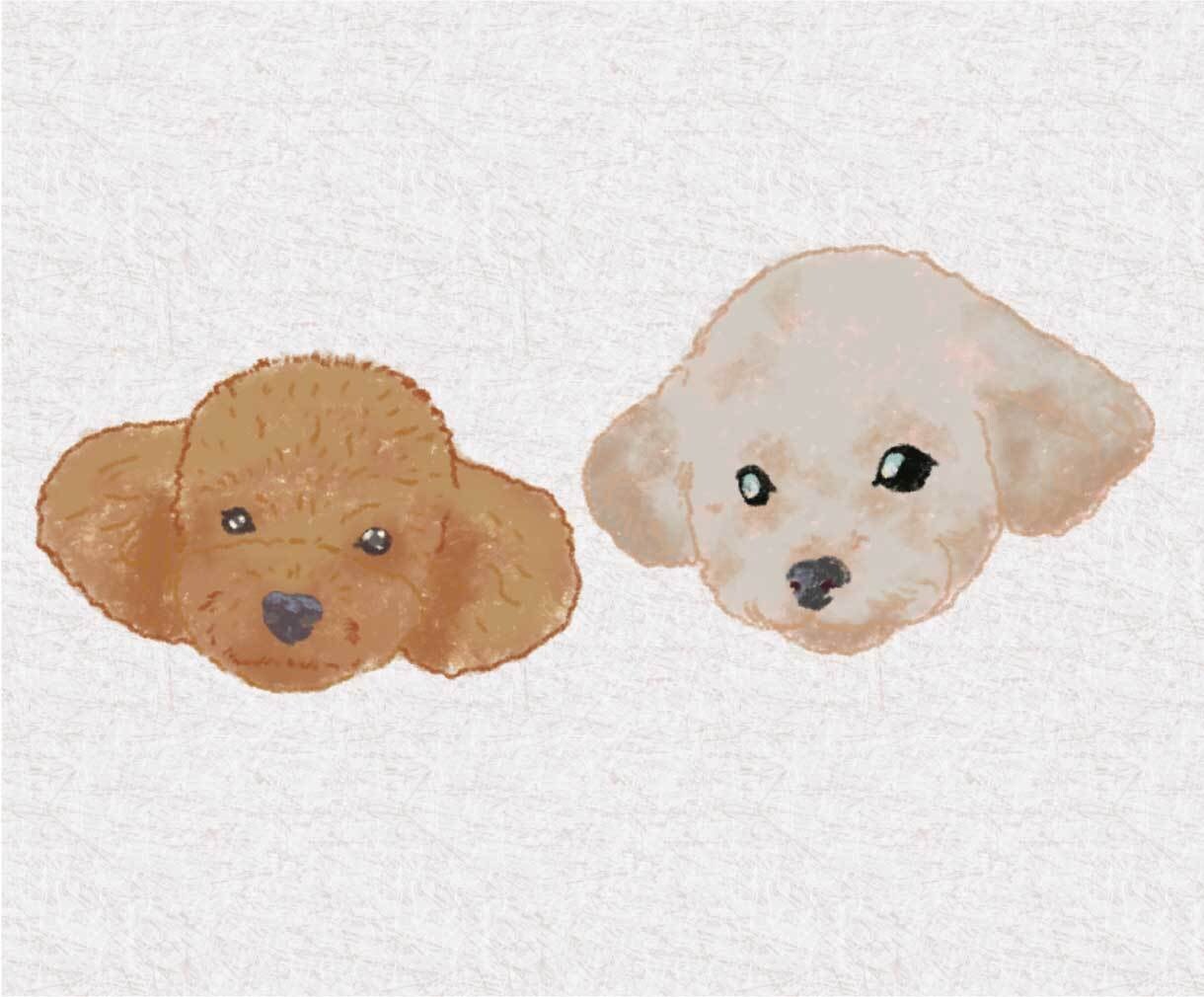 世界にひとつのうちの子似顔絵制作します 愛犬・愛猫・小動物OK、優しいタッチで大切な子をイラストに イメージ5