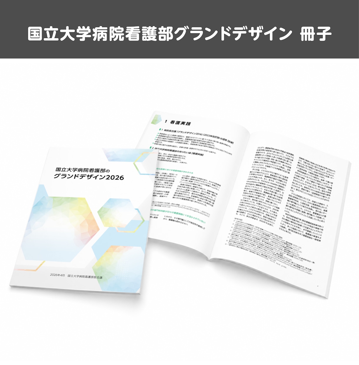 公的・組織向け冊子をデザインいたします 行政・医療・福祉・NPO等の冊子を読みやすく制作 イメージ3
