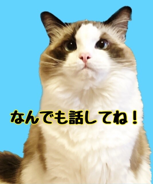 心のお悩み聞きます なんでもご相談ください(*^^*) イメージ2