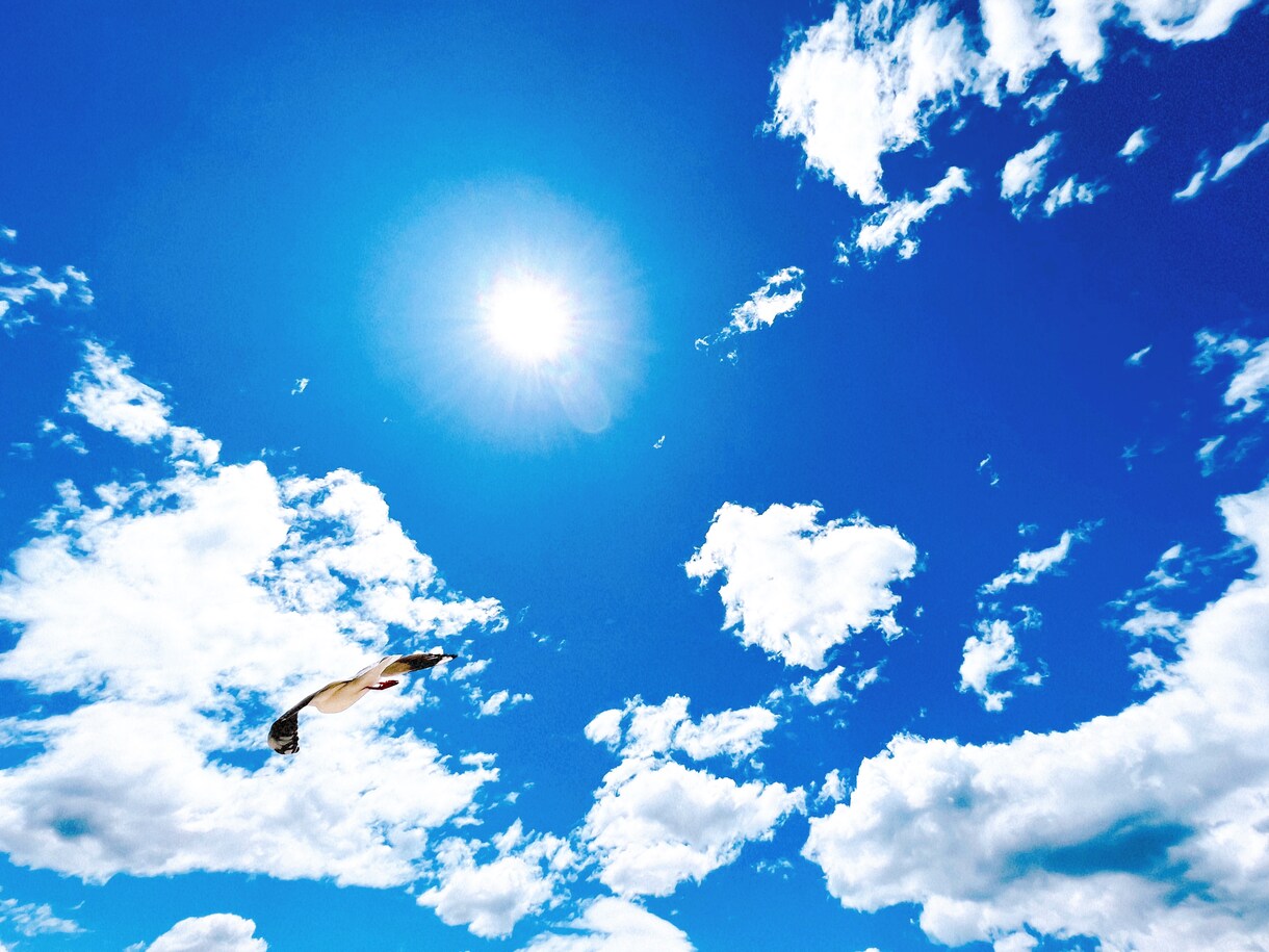 大自然の写真販売しています 猫 空 ビーチ オペラハウス×虹 イメージ3