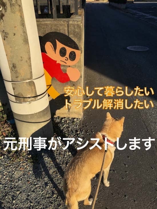 元刑事(勤続29年)が貴方の悩みお聞きします こんなときどうする？解決アシスト⭐️元刑事に聞いてみよう イメージ2