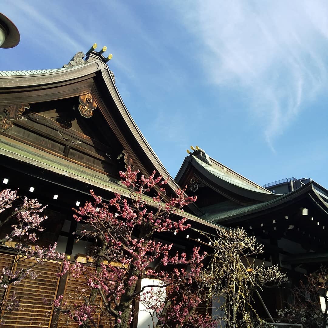 旅行管理者資格保持者が神社参拝旅行を一緒に考えます スピリチュアル旅行をしたいから、誰かと相談しながら決めたい♪ イメージ4