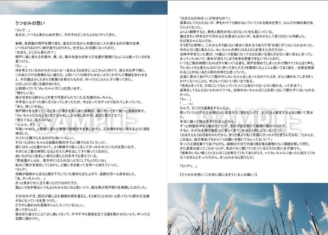 貴方だけの短編小説を執筆、小さなお話でも形にします 大切な人や物を思い出せる、優しくて柔らかな文章に仕上げます。 イメージ4