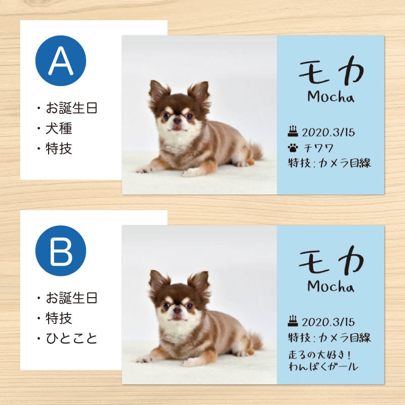 セミオーダーでペット名刺作成いたします 可愛いうちの子の名刺をつくってみませんか？ イメージ2