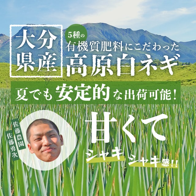 目を引く！クリックしたくなる！バナー広告制作します ちょっとポップなバナーが得意！お手頃価格で提供中！ イメージ4