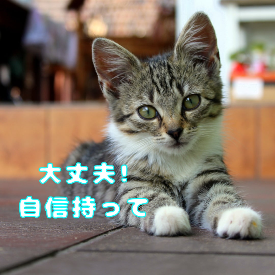 相手の気持ちを知って賢い恋愛を！恋の不安なくします 好きになっていい？騙されてる！今後について考えるきっかけに イメージ2