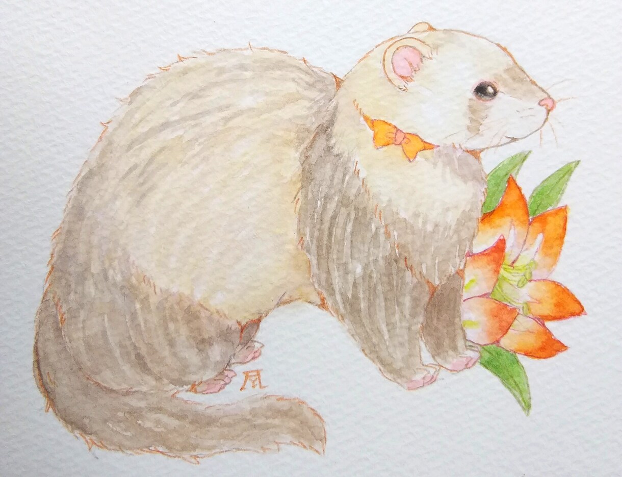 フェレットなどの小動物のイラストを受け付けます 可愛いペットや小動物の水彩イラスト依頼を受け付けています。 イメージ4