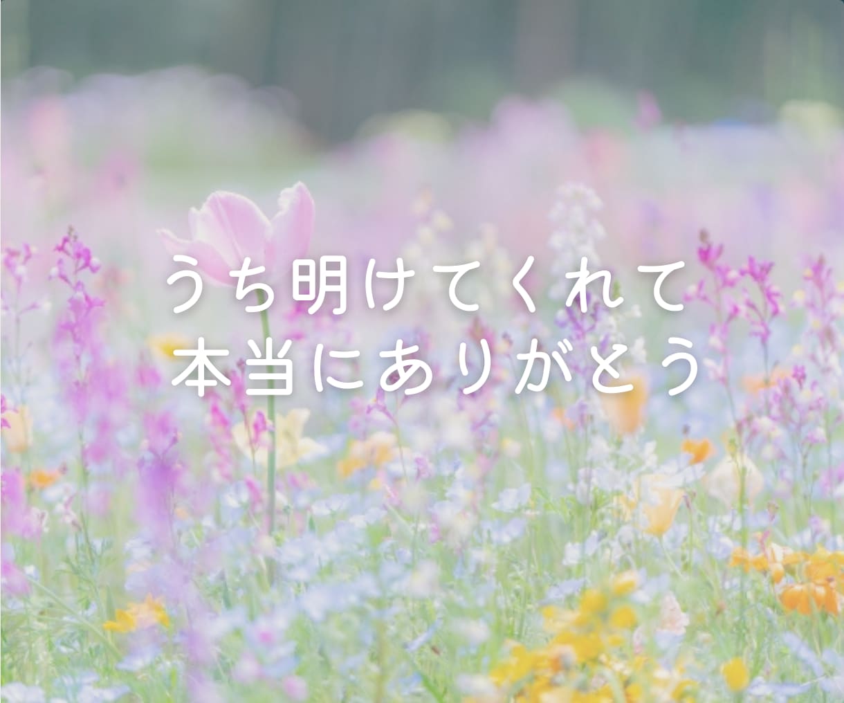 秘密のお話 秘密厳守で 今すぐ お聞ききします 【雑談もOK】 恋愛 不倫 人間関係 妄想 性のお悩み イメージ2