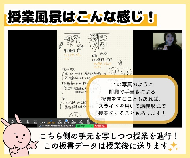 初回限定│30分 個別相談・おためし授業します 受験相談・問題解説に対応！30分で雰囲気を確かめて！ イメージ4