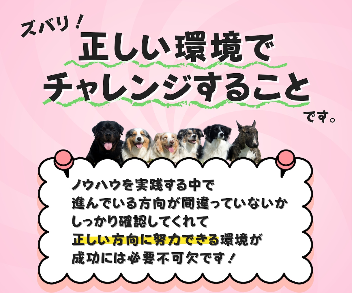 コンテンツ作成から収益化までサポートます 初心者さんでも大丈夫！将来にも役立つスキルを身につけませんか イメージ5