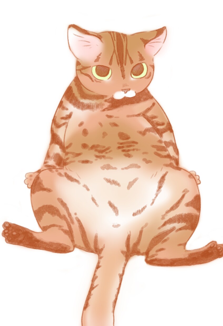 可愛い☆猫☆のイラストを描きます ☆ペットをイラストにしてみませんか？☆ イメージ6