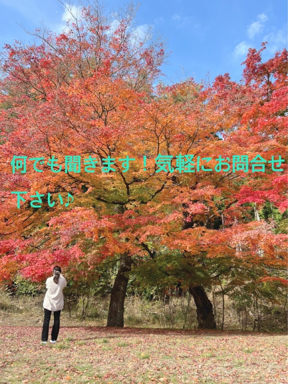 職場の悩み、育児の悩み、何でも聞きます 育児をしながらフルタイムで働くママです！ イメージ1