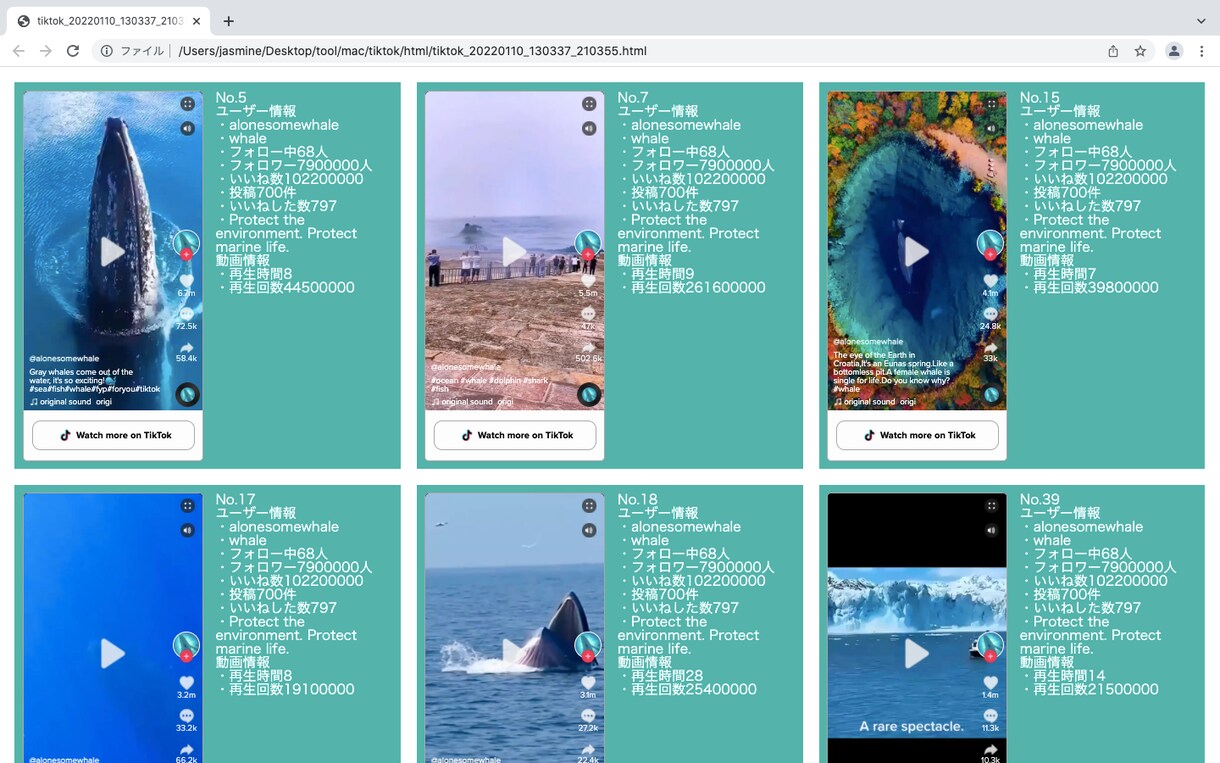 TikTokの動画取得ツールを作成します 動画をダウンロードせずに確認（ダウンロードも）できます イメージ4