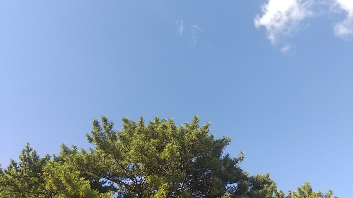 特定の御客様専用☎️でございます DMで御案内した方以外は、購入出来ません。☎️ イメージ4