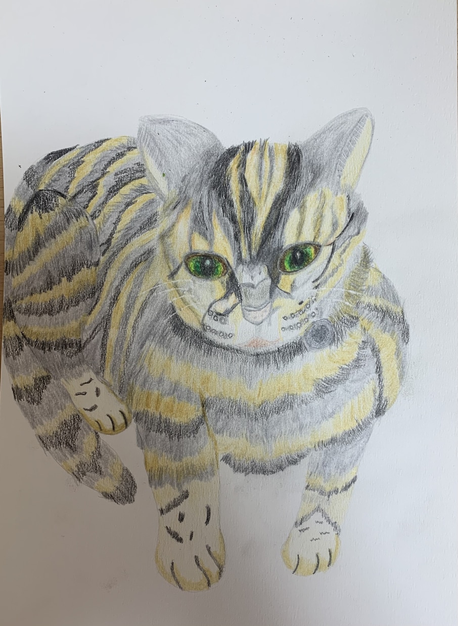 大切なペット様の絵を色鉛筆で描きます 大切な思い出のペット様の絵を色鉛筆で描きます。 イメージ3