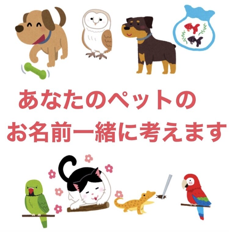 ペットの名前一緒に考えます 毎日の思い出を素敵な名前と共に イメージ1