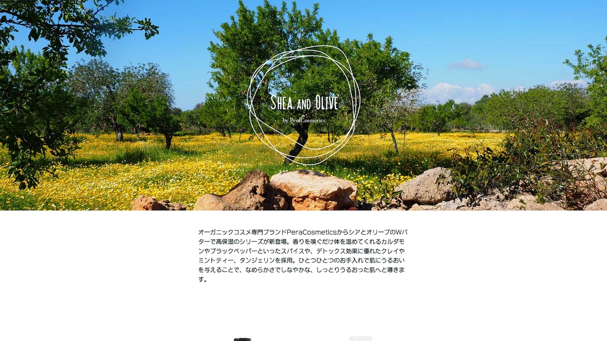 ペライチでLP(ランディングページ)を制作します 【丸投げOK】短期間で高品質のLPを格安で制作します！ イメージ10