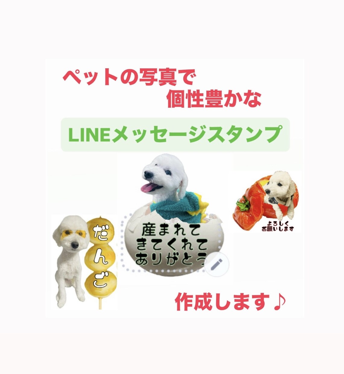 可愛いペットをLINEメッセージスタンプにします 可愛いペット写真を個性的なLINEメッセージスタンプにします イメージ1