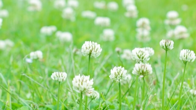経験者を頼って下さい。親子関係の痛み、受け止めます 親子関係・親子問題・愛着障害・アダルトチルドレン・AD イメージ6