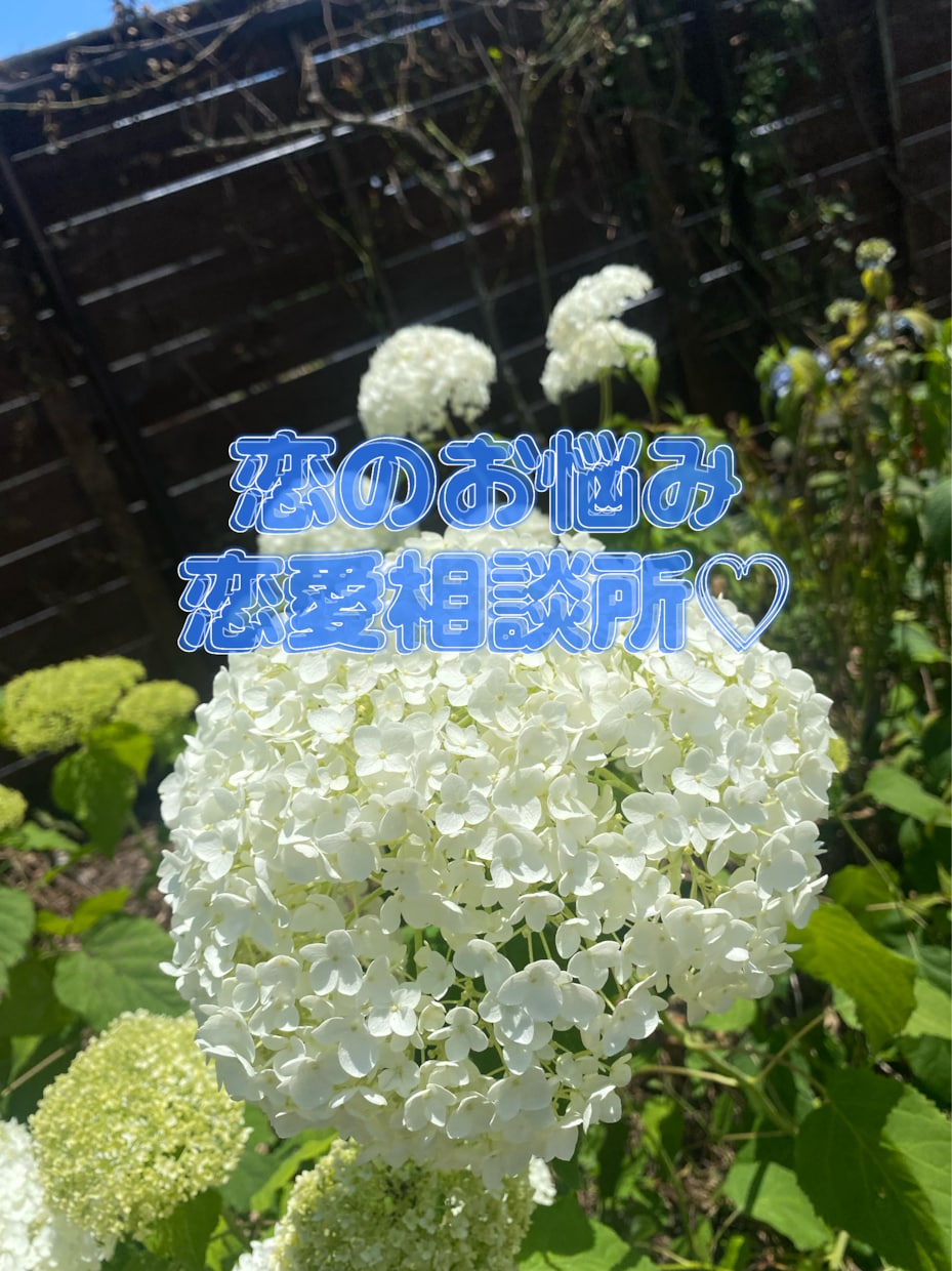 あなたの恋愛スキルアップさせます 恋のお悩み、解消しませんか？☺︎ イメージ1