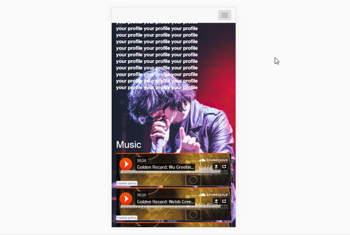 ホームページ制作（ミュージシャン・音楽家の方）致します。【スマホ/ＰＣ対応】【簡単】【リーズナブル】 イメージ2
