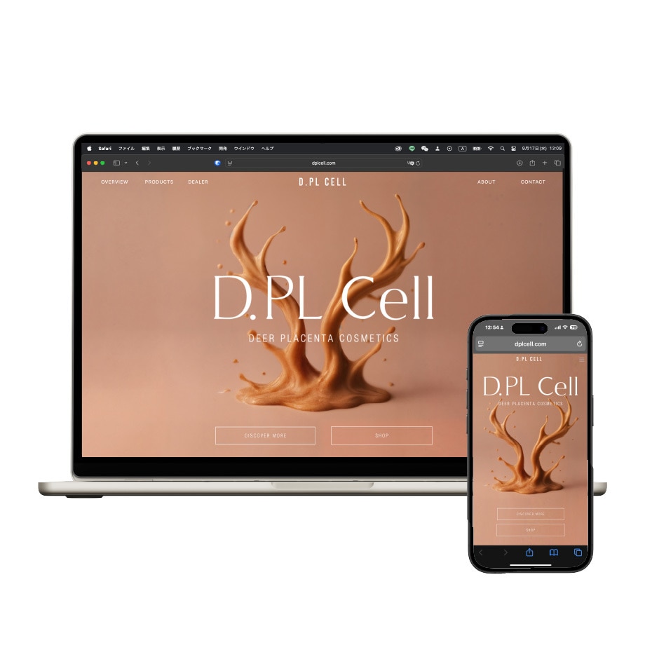 高品質本格Webサイト制作をコスパよく作成します 10数年経験のPRO、色んな業界のWeb・LP作成に対応可能 イメージ6