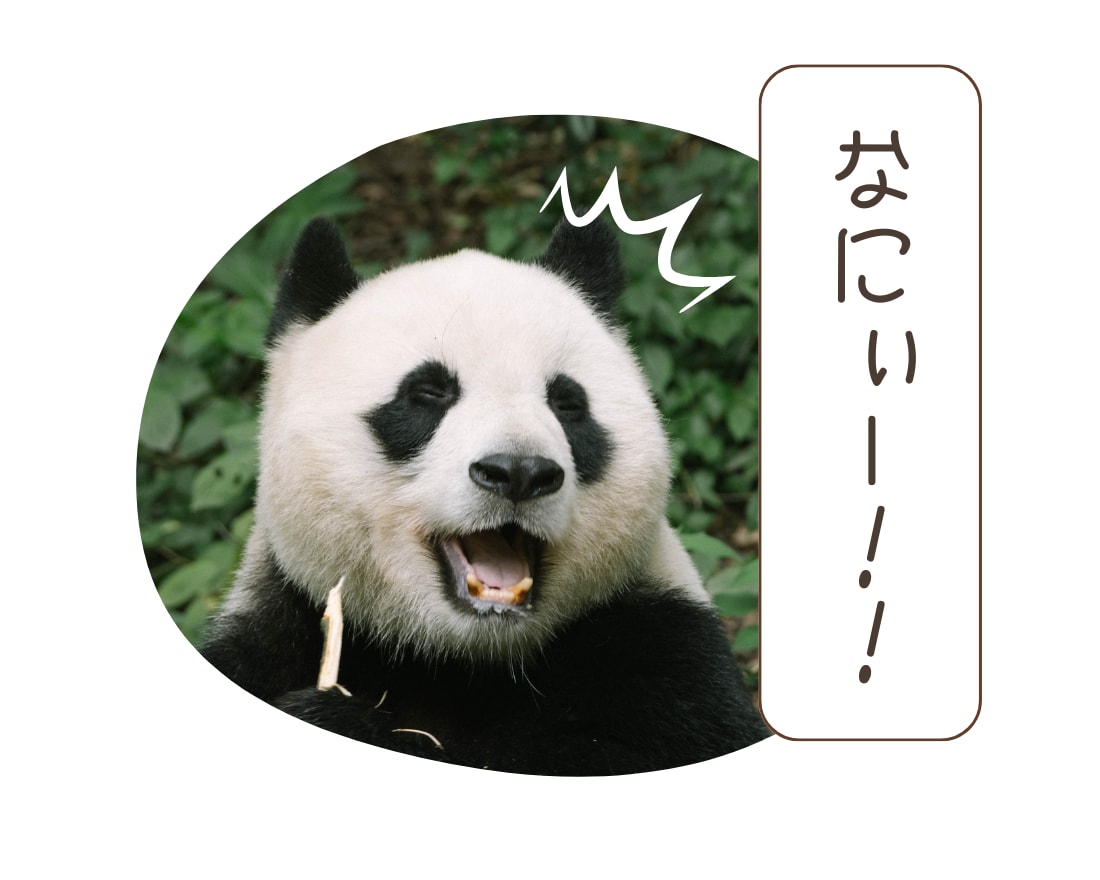 恋愛·不倫·悩み·アナタの気持ちに寄り添います 友達·恋人·妻✿今日はどんなかおりとお話しましょーか? イメージ4