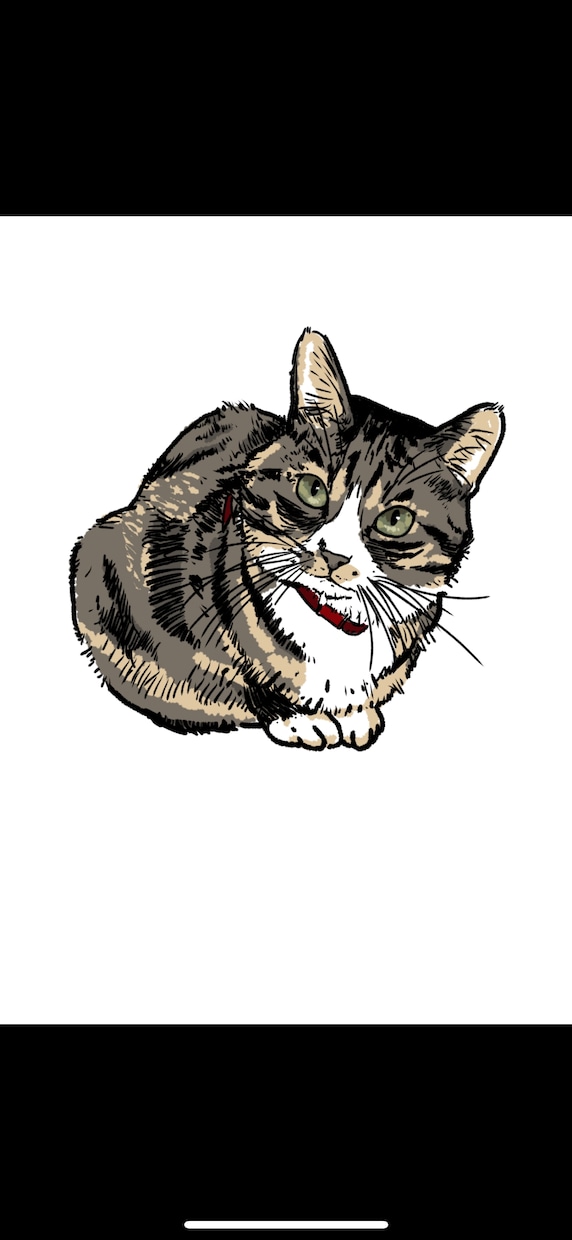 snsアイコンやイラスト描いてます 女の子と猫ちゃんを描くのが得意です イメージ5