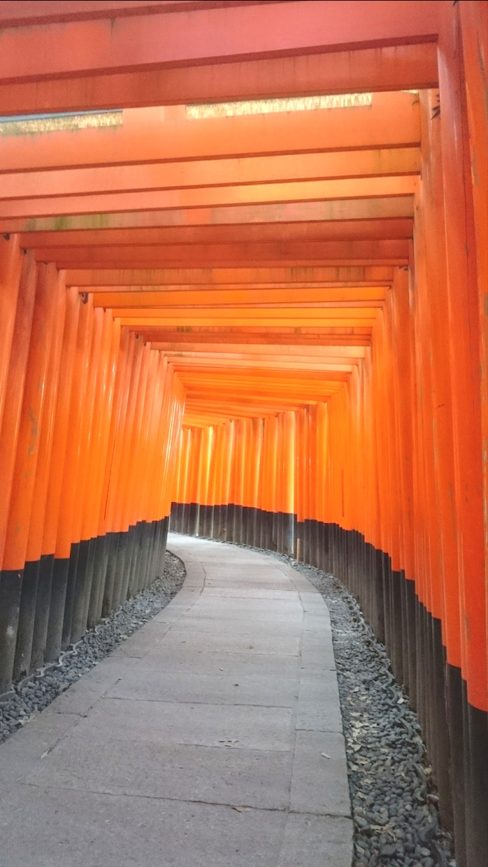 京都の写真送ります！名所の絶景写真たくさんあります 京都在住の自称カメラマンです！膨大な写真の中から5枚送ります イメージ4