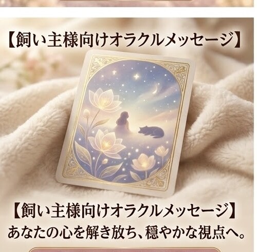 大切なペットへ3日間の遠隔レイキヒーリングします 大切な家族に、穏やかな癒しの時間を届けます イメージ3