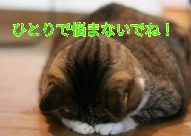 家族に分かって貰えない家庭の愚痴トコトン受取めます 4つの顔持つ私が、あなたの理解者になります。 イメージ2