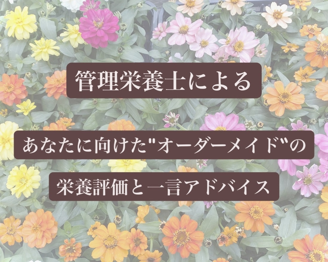 管理栄養士が1日分の栄養評価＋一言アドバイスします あなたに向けたオーダーメイドの食事アドバイスをいたします✨ イメージ1