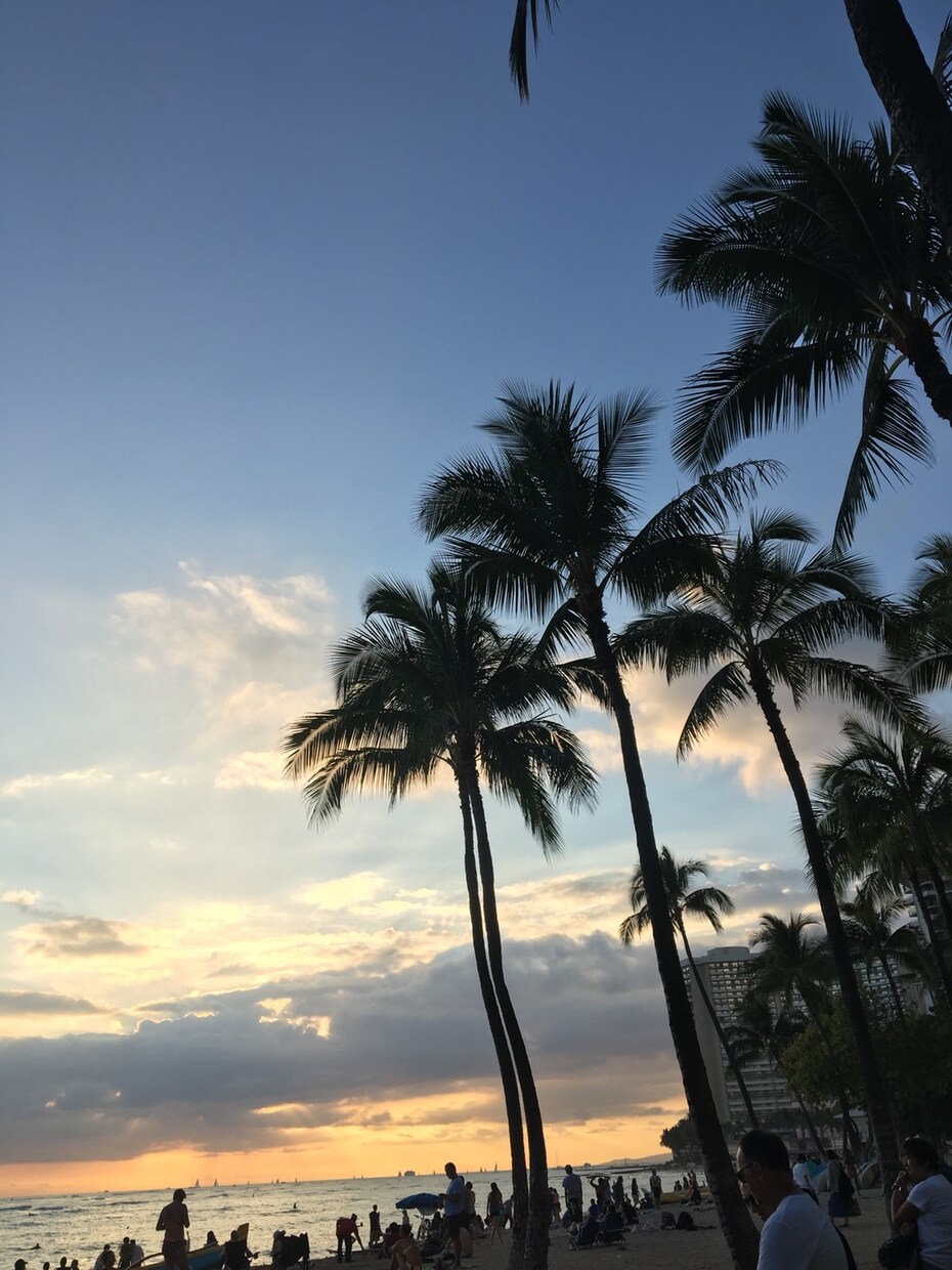アメリカ在住★現地留学会社に勤務　移住相談のります 現地留学会社で勤務。海外就職、留学や移住の相談にのります！ イメージ1
