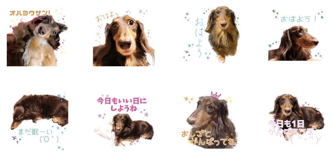 お子さまやペットの写真でLINEスタンプを作ります 世界にひとつだけの、うちの子自慢スタンプを使いましょう♡ イメージ2