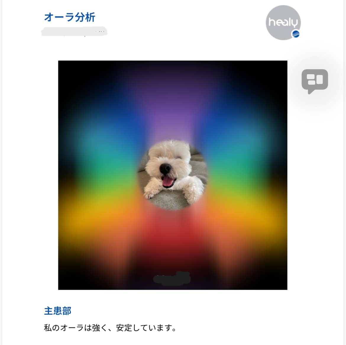 モニター募集★うちの子のオーラ診断＆波動調整します Healyでペットちゃんの今のエネルギー状態を分析 イメージ2