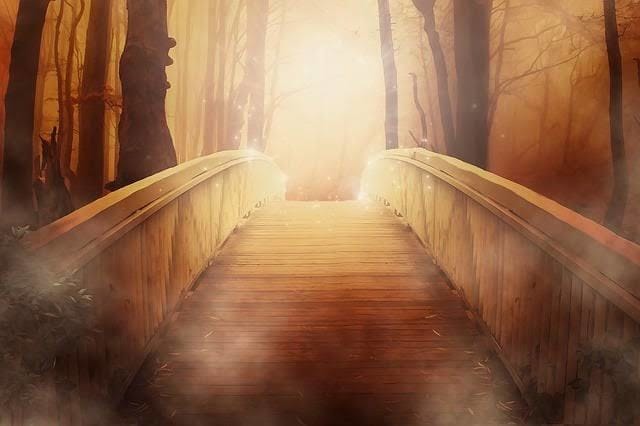 サレ妻・夫専用！現状の気持ち、そして今後を視ます あなたの味方です。心が壊れる前にお立ち寄りください。 イメージ1