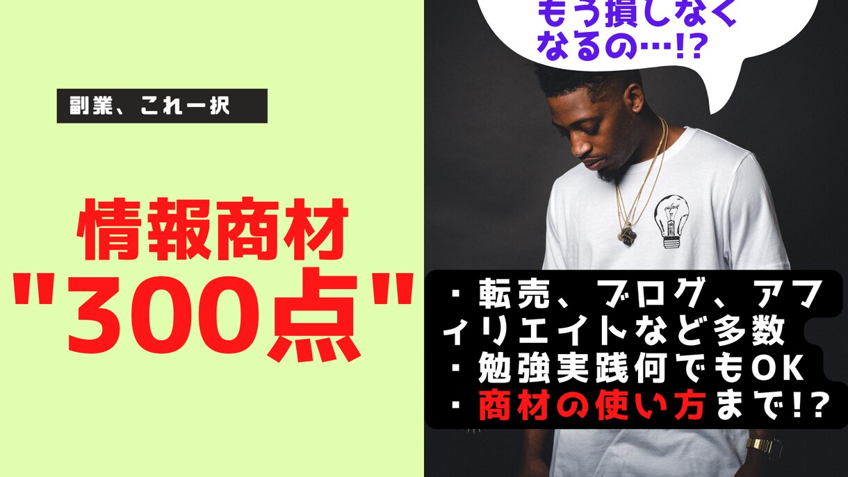 副業教材300種類パック!!勉強実践何でも使えます 大特価の詰め合せセットで自分に合う副業を探しましょう!! イメージ1