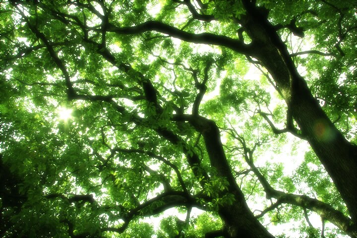 悩みに対する解決行動のリソースを増やします 科学的な視点からわかりやすく丁寧にできることを増やします イメージ2
