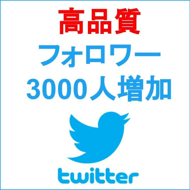 Twitterフォロワー3000人増加させます 【10件限定】Twitterフォロワー3000人増加 イメージ1