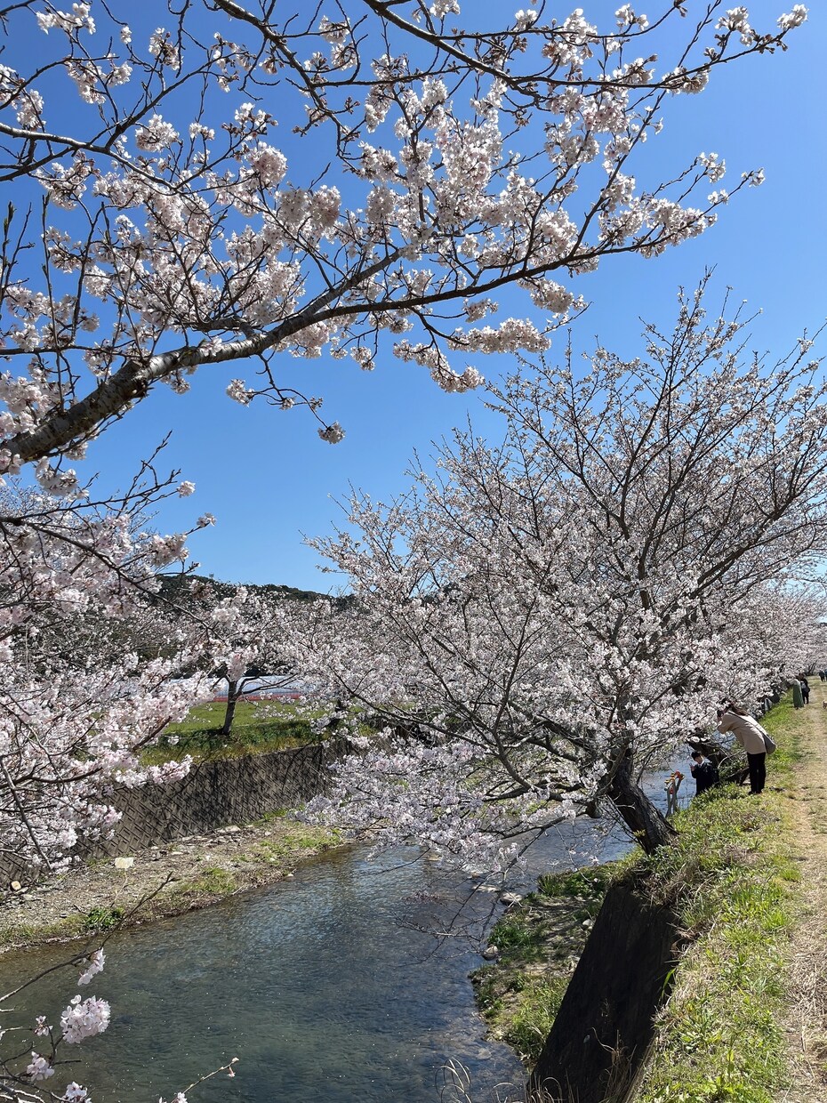 仕事のストレス相談乗ります 悲しい、不安、モヤモヤ、辛い、涙が出る、うつ病、適応障害 イメージ4