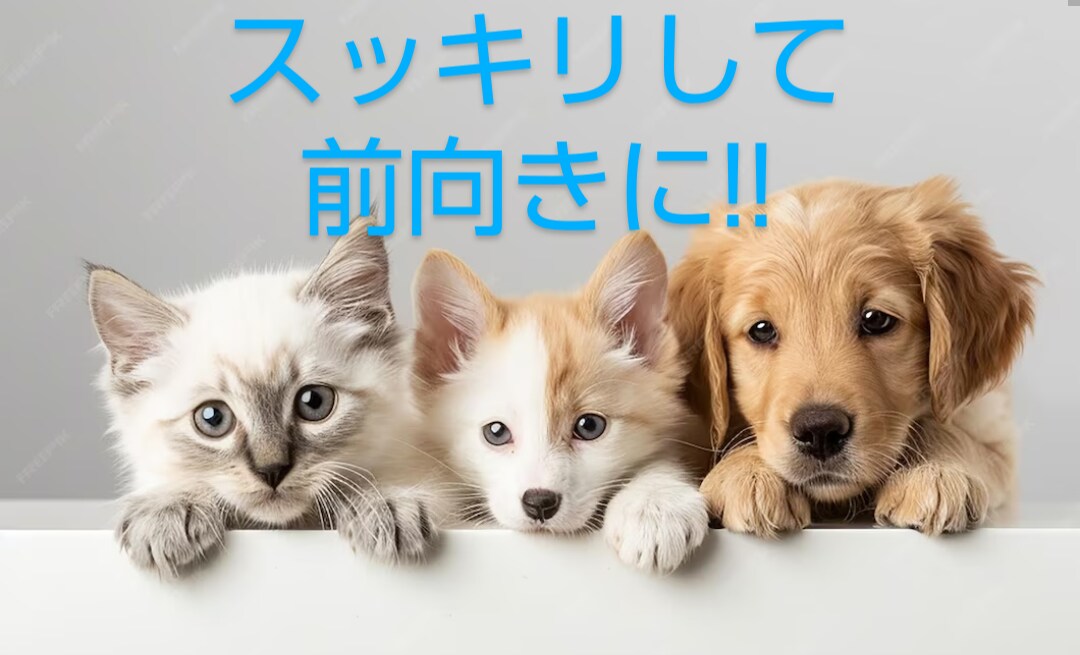 心軽やかに！スッキリして下さい。愚痴お聞きします 気持ちリフレッシュ！ストレス解消タイム。気軽にお話し下さい！ イメージ7