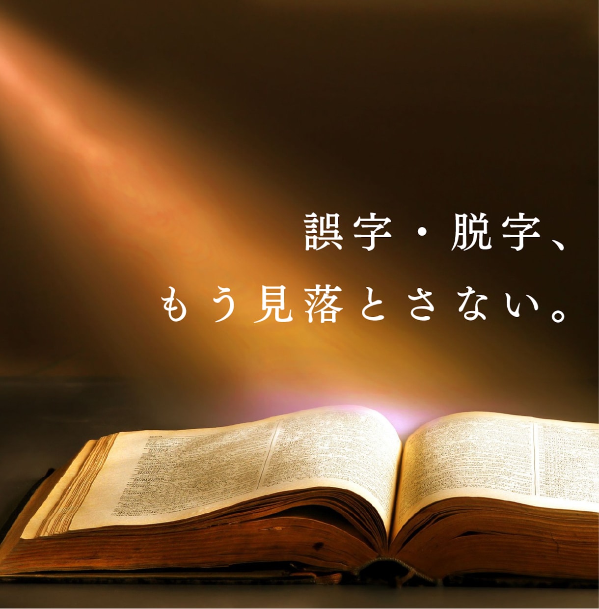 誤字・脱字のチェックをします 動画テロップや小説・同人誌まで！誤字発見ならお任せください！ イメージ1