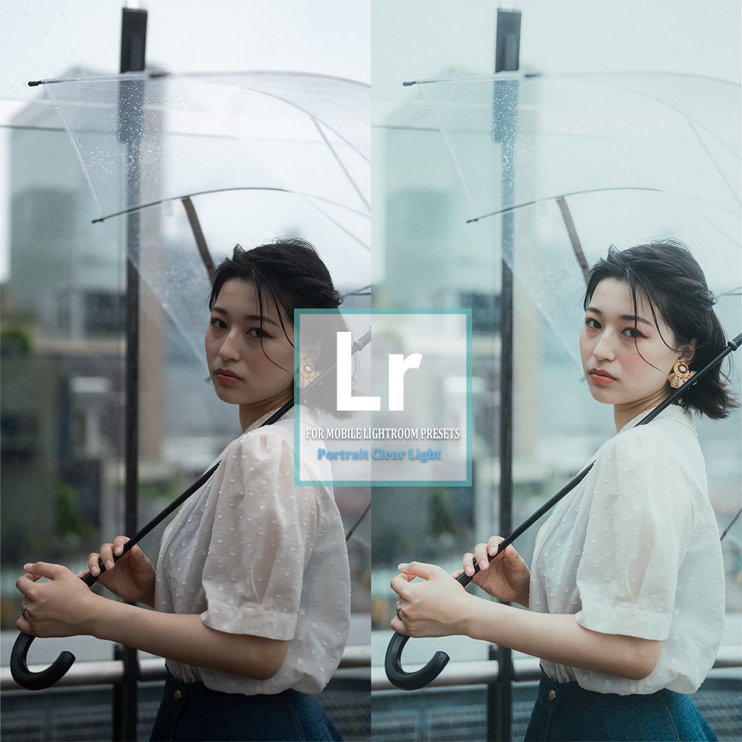 Lightroomプリセット販売します あなたの日常を、記憶に残るシネマティックな一枚に イメージ4